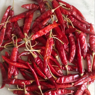 Guntur Sannam S334 Red Chilli