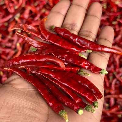 Teja S17 Red Chilli